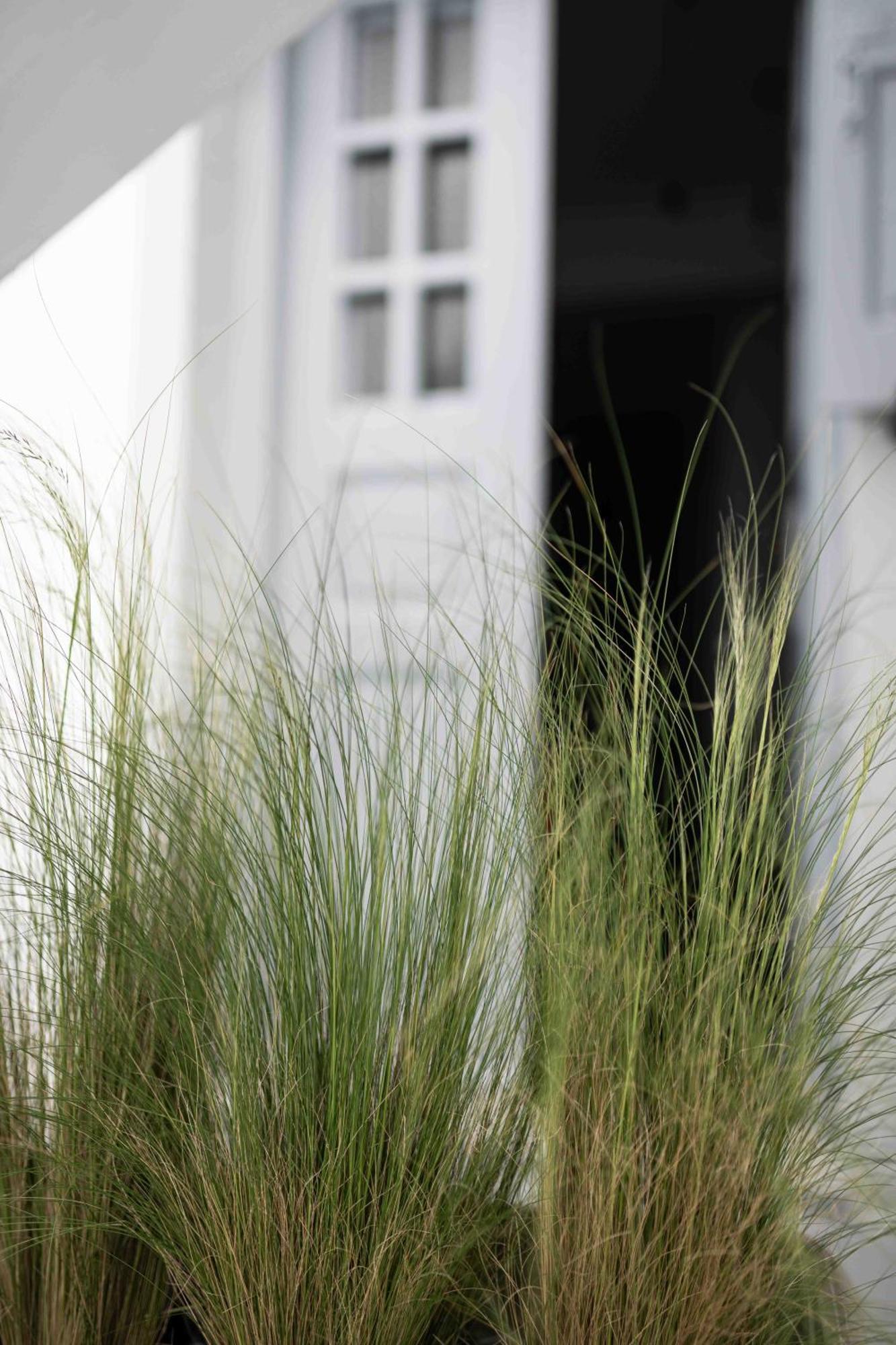 La Roka, Cliffside Memories Bed & Breakfast Imerovigli  Exterior foto